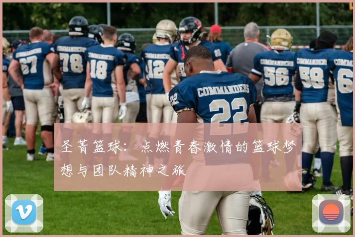 圣菁篮球：点燃青春激情的篮球梦想与团队精神之旅