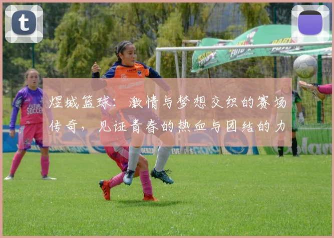 煜城篮球：激情与梦想交织的赛场传奇，见证青春的热血与团结的力量
