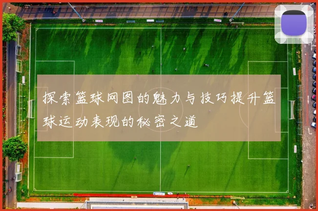 探索篮球网图的魅力与技巧提升篮球运动表现的秘密之道