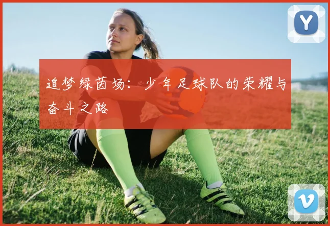 追梦绿茵场：少年足球队的荣耀与奋斗之路