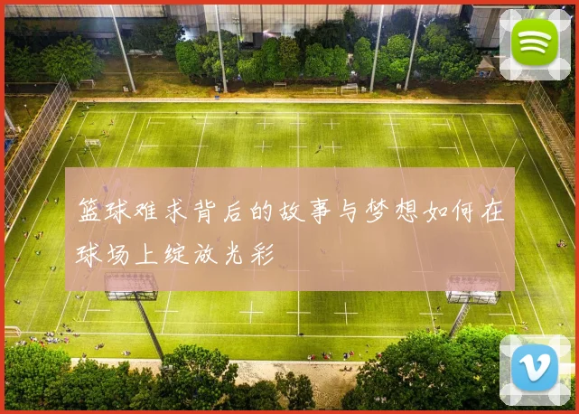 篮球难求背后的故事与梦想如何在球场上绽放光彩