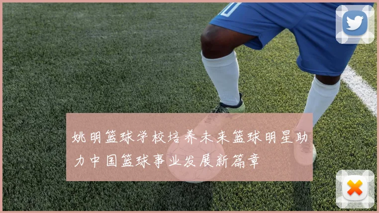 姚明篮球学校培养未来篮球明星助力中国篮球事业发展新篇章