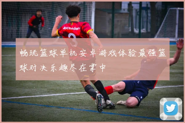 畅玩篮球单机安卓游戏体验最强篮球对决乐趣尽在掌中